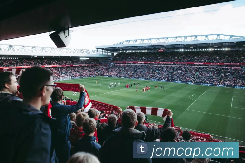 世界杯官网平台服务体系